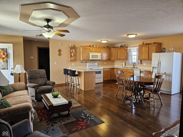 living area with ceiling fan, baseboards, dark wood finished floors, and a textured ceiling