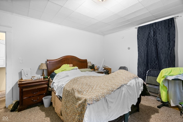 bedroom with carpet flooring