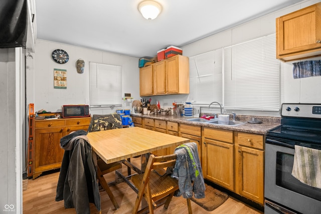 kitchen featuring black microwave, a sink, light wood-style flooring, and stainless steel electric stove