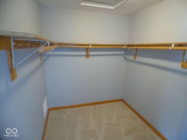 walk in closet featuring carpet flooring