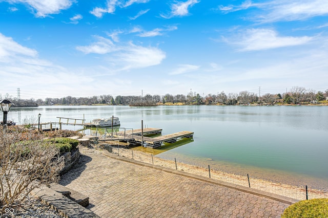 dock area with a water view