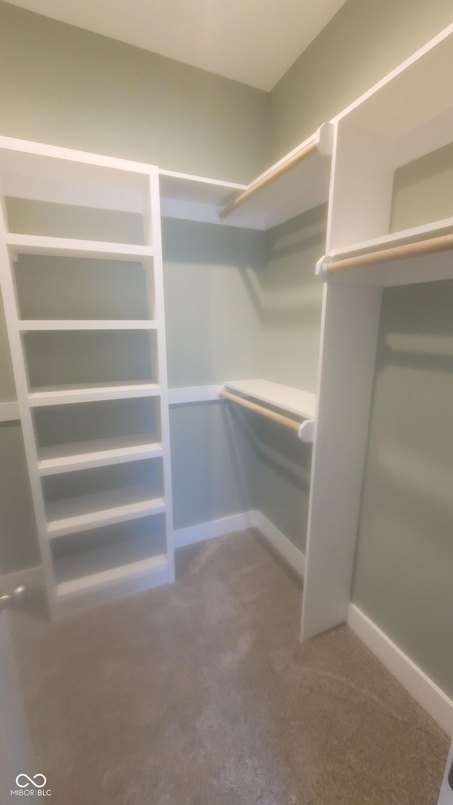 spacious closet with carpet