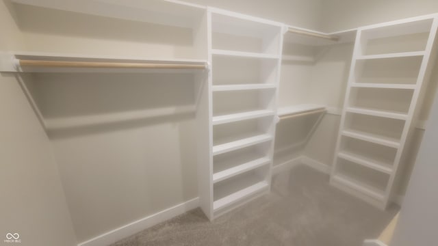 spacious closet with carpet flooring