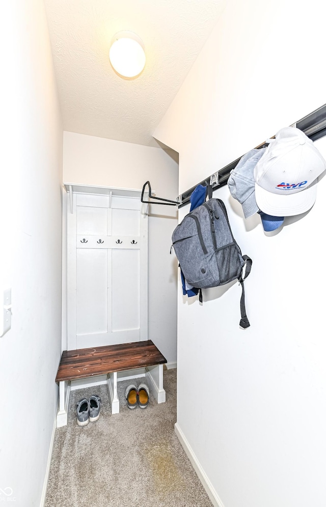 mudroom with carpet floors and baseboards