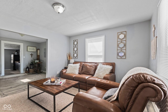 living area featuring a textured ceiling and wood finished floors