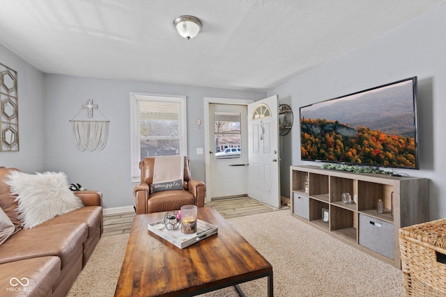 living room featuring baseboards and wood finished floors