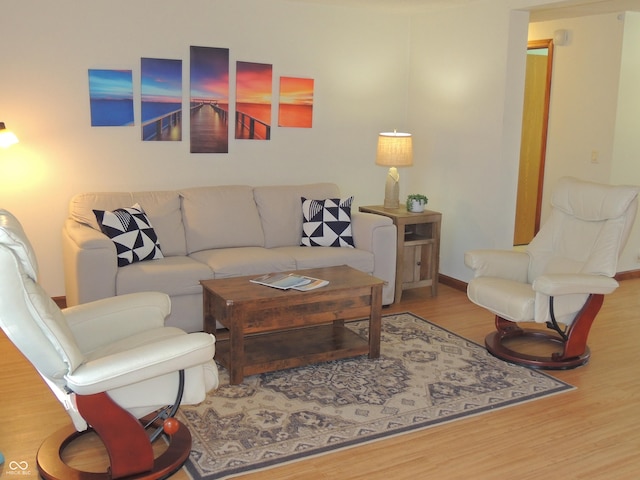 living area featuring baseboards and wood finished floors