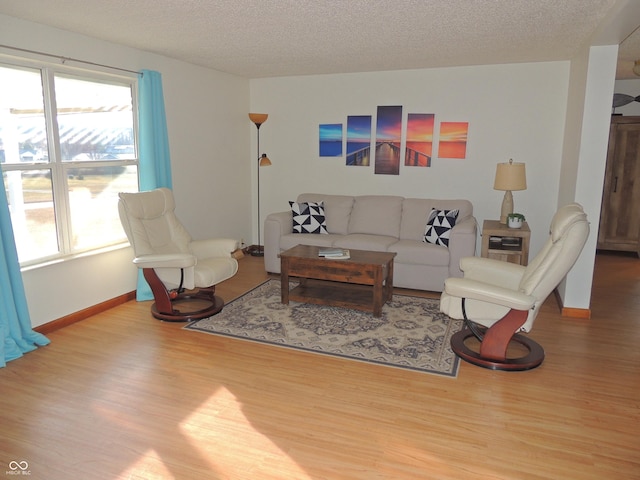 living room featuring wood finished floors, baseboards, and a textured ceiling