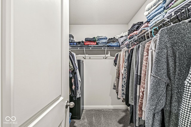 walk in closet featuring carpet