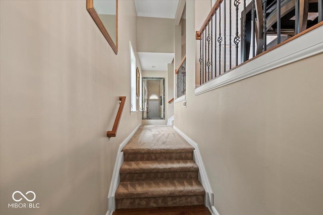 681 Greenford Trl N, Carmel, IN 46032 - staircase featuring baseboards and a high ceiling