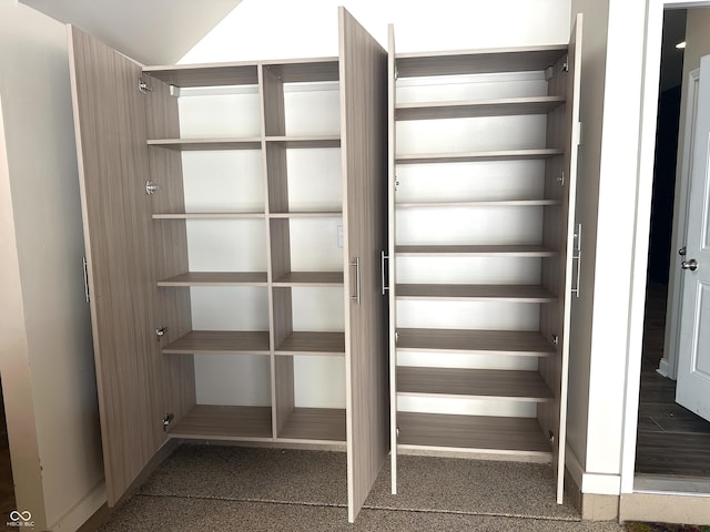 681 Greenford Trl N, Carmel, IN 46032 - view of closet