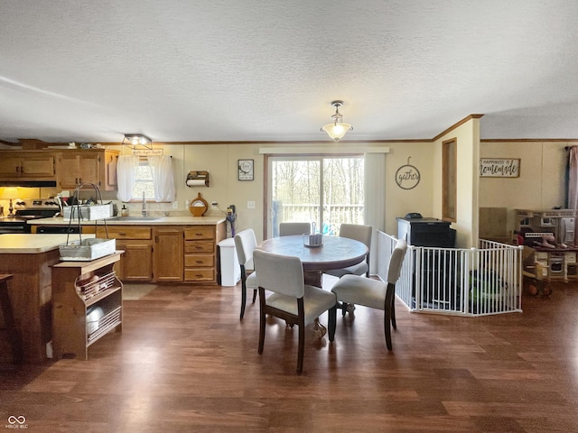 dining room with dark wood-style floors, a textured ceiling, and ornamental molding