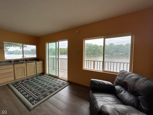 living room with dark wood-style floors and a water view