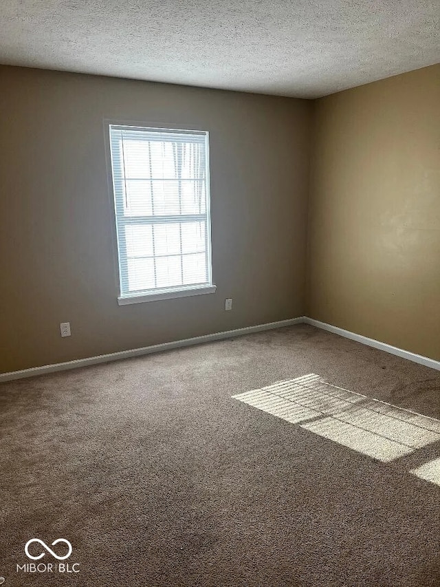 spare room with carpet, a textured ceiling, and baseboards