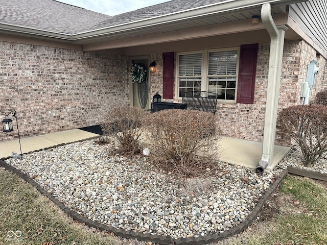 view of exterior entry with a porch, brick siding, and roof with shingles