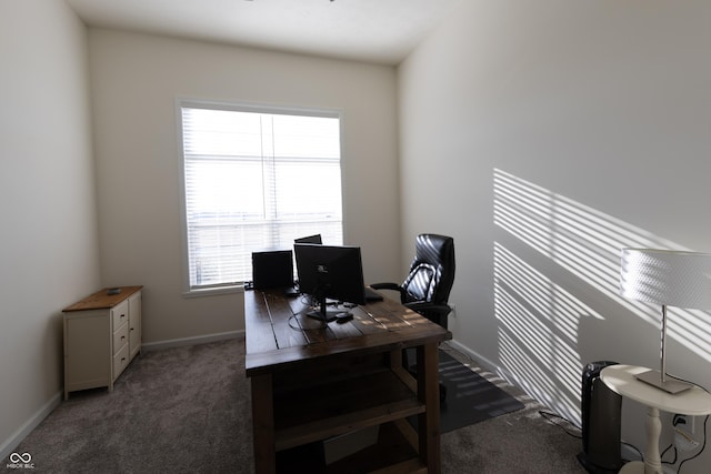 home office with carpet and baseboards