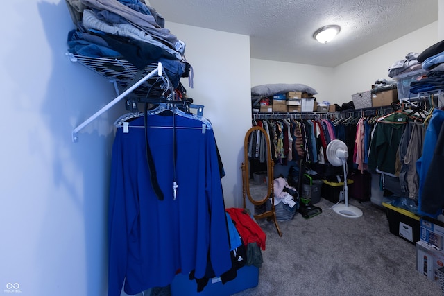 spacious closet with carpet flooring