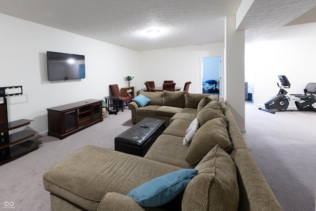 carpeted living area featuring a textured ceiling