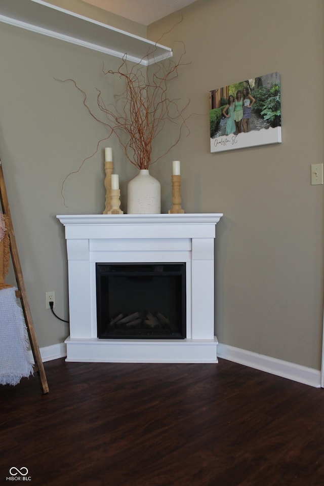 details featuring baseboards, a fireplace with raised hearth, and wood finished floors