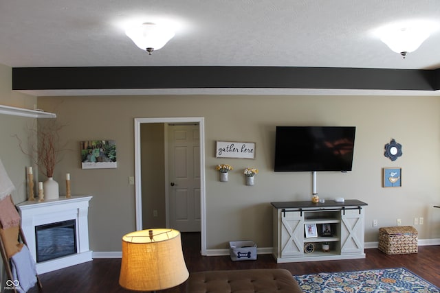 living room with baseboards, wood finished floors, and a glass covered fireplace