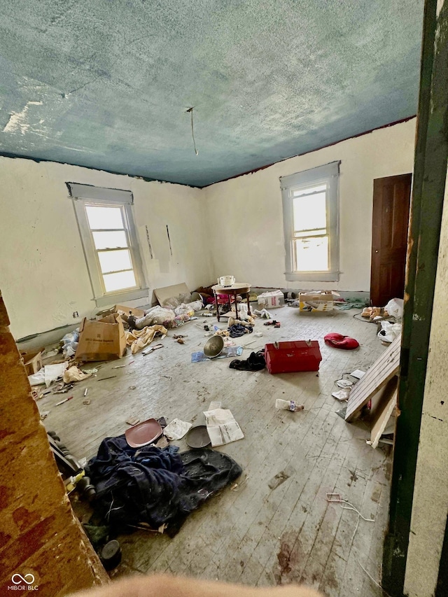 misc room with a textured ceiling and a wealth of natural light