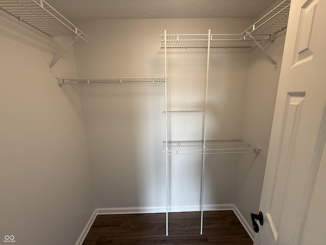 spacious closet featuring wood finished floors