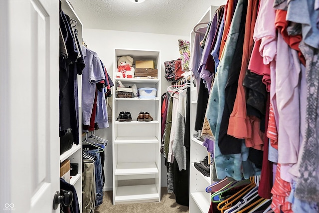 spacious closet featuring carpet floors