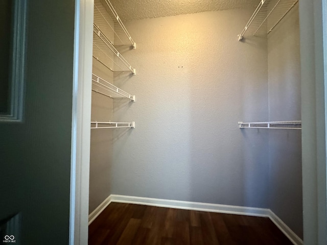 spacious closet featuring dark wood-style flooring