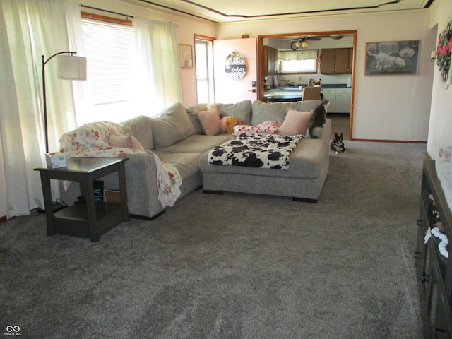 view of carpeted living room