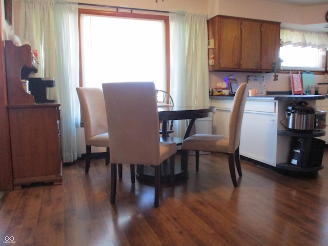 dining room featuring dark wood-style floors