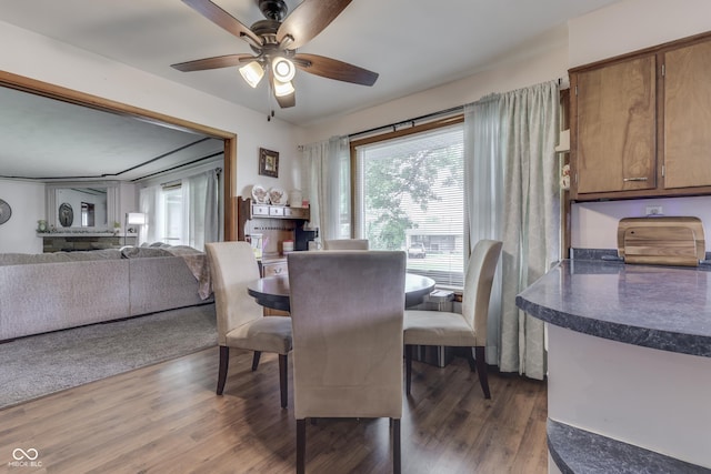 1459 S Josephine St, Martinsville, IN 46151 - dining area with a ceiling fan and dark wood-type flooring