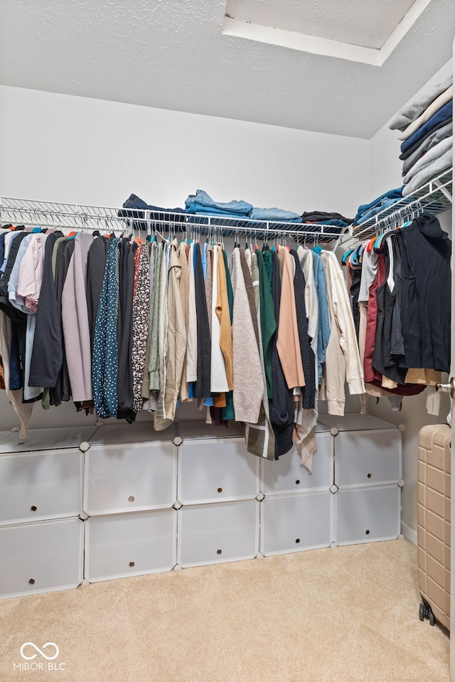 spacious closet featuring carpet flooring