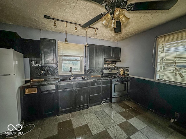 kitchen with dark cabinets, stainless steel range with gas cooktop, a sink, and freestanding refrigerator