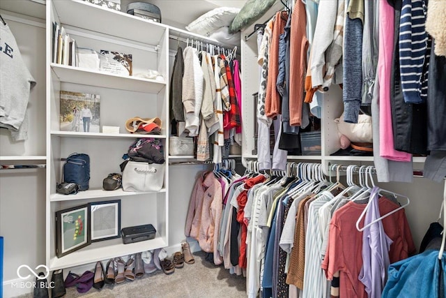 spacious closet with carpet