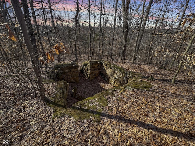 nature at dusk with a wooded view