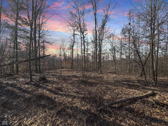 view of nature at dusk