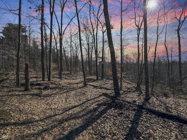 view of nature at dusk