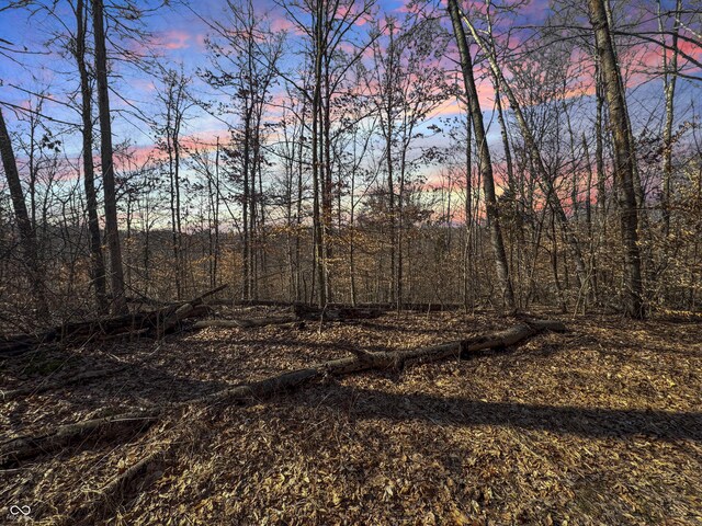 view of nature at dusk