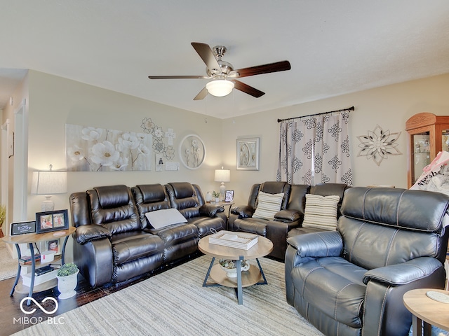 2955 Mars Hill St, Indianapolis, IN 46241 - living area with ceiling fan