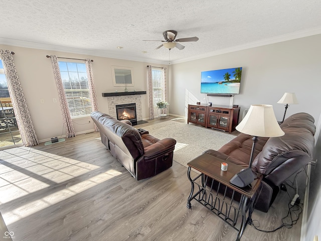 living room with a glass covered fireplace, crown molding, and light wood-style floors