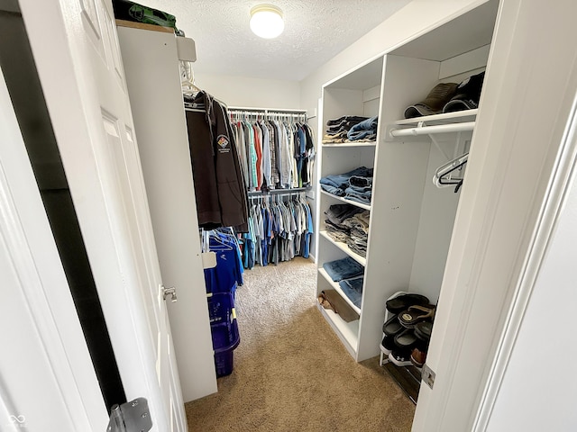 walk in closet featuring carpet flooring