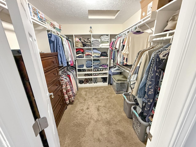 spacious closet featuring attic access and carpet flooring