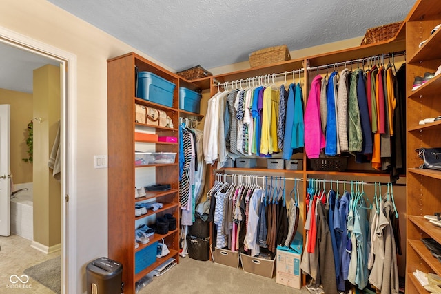 spacious closet featuring carpet