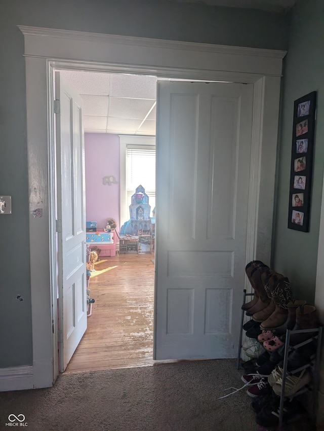 corridor featuring a paneled ceiling, wood finished floors, and carpet flooring