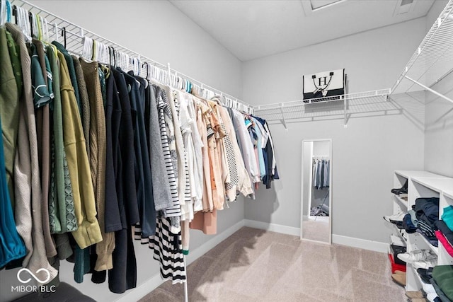 spacious closet featuring carpet floors