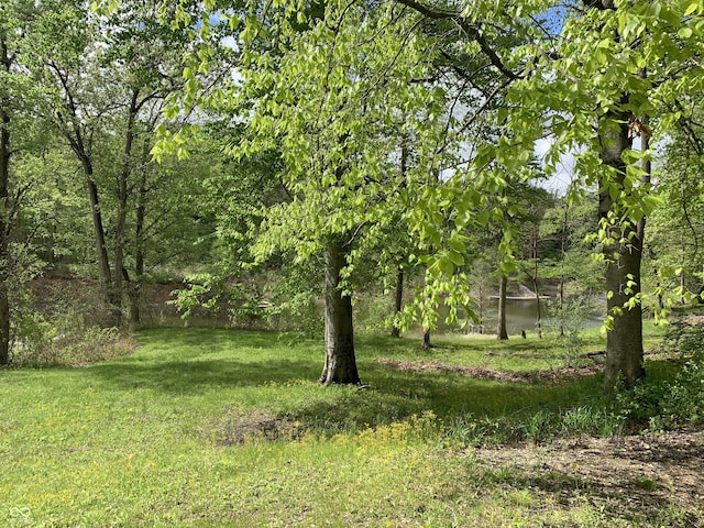 1925 Lee Kay Dr, Rockville, IN 47872 - view of yard with a view of trees
