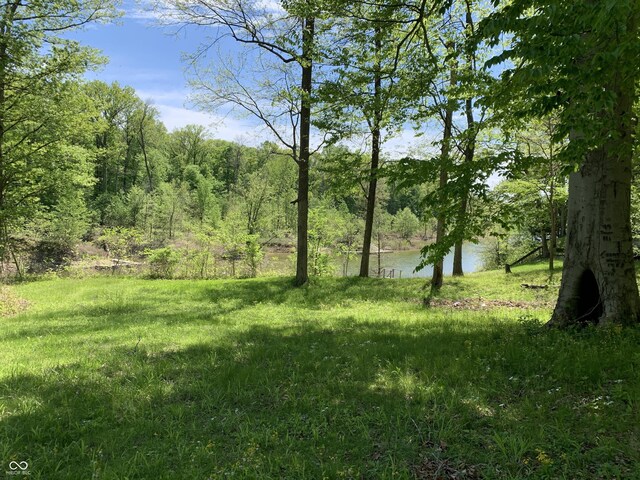 1925 Lee Kay Dr, Rockville, IN 47872 - view of yard featuring a wooded view and a water view