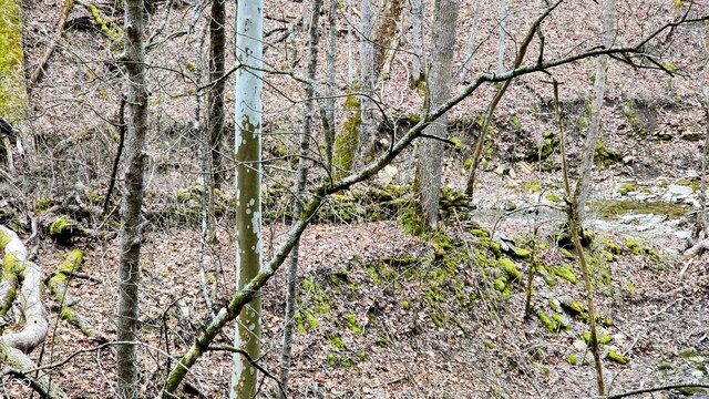 5900 S County Road 700 E, Dillsboro, IN 47018 - photo 49