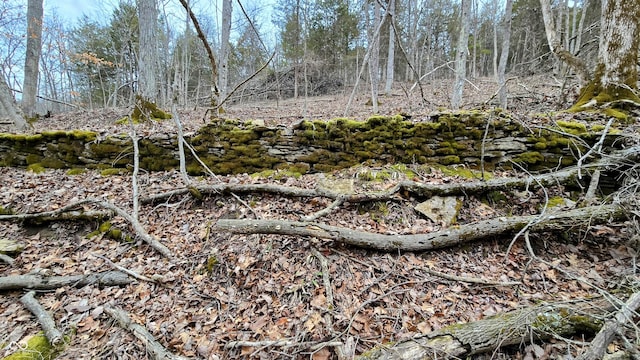 5900 S County Road 700 E, Dillsboro, IN 47018 - photo 23