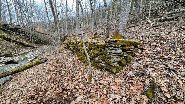5900 S County Road 700 E, Dillsboro, IN 47018 - photo 25